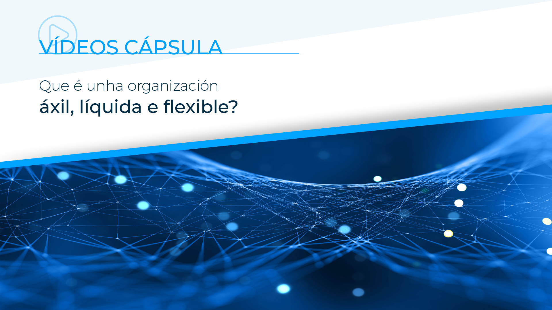 Que é unha organización áxil, líquida e flexible?